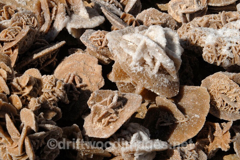Chott el Jerid desert rose on stall - Tunisia