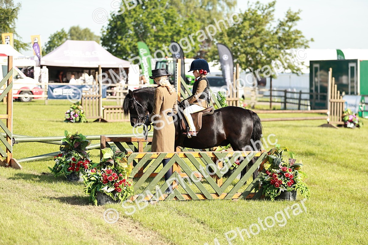 SBM_11272 - Class 106-107 - BSPS LIHS Working Sports Pony