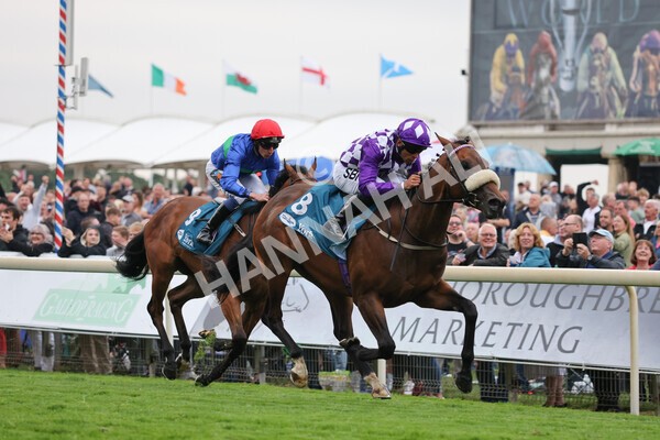 yr22072022r4-30 - Race 4 6.50pm The IRE Incentive It Pays To Buy Irish EBF Restricted Novice Stakes