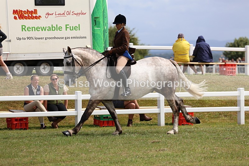 3E7A0236 - Class 6: Rising Star Maxi Cobs