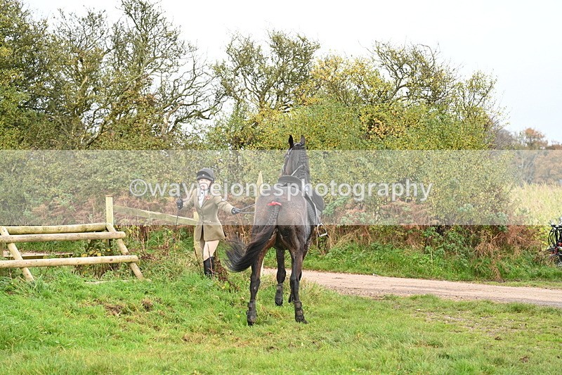 WJ7_0445 - Camera 1 & Last fence