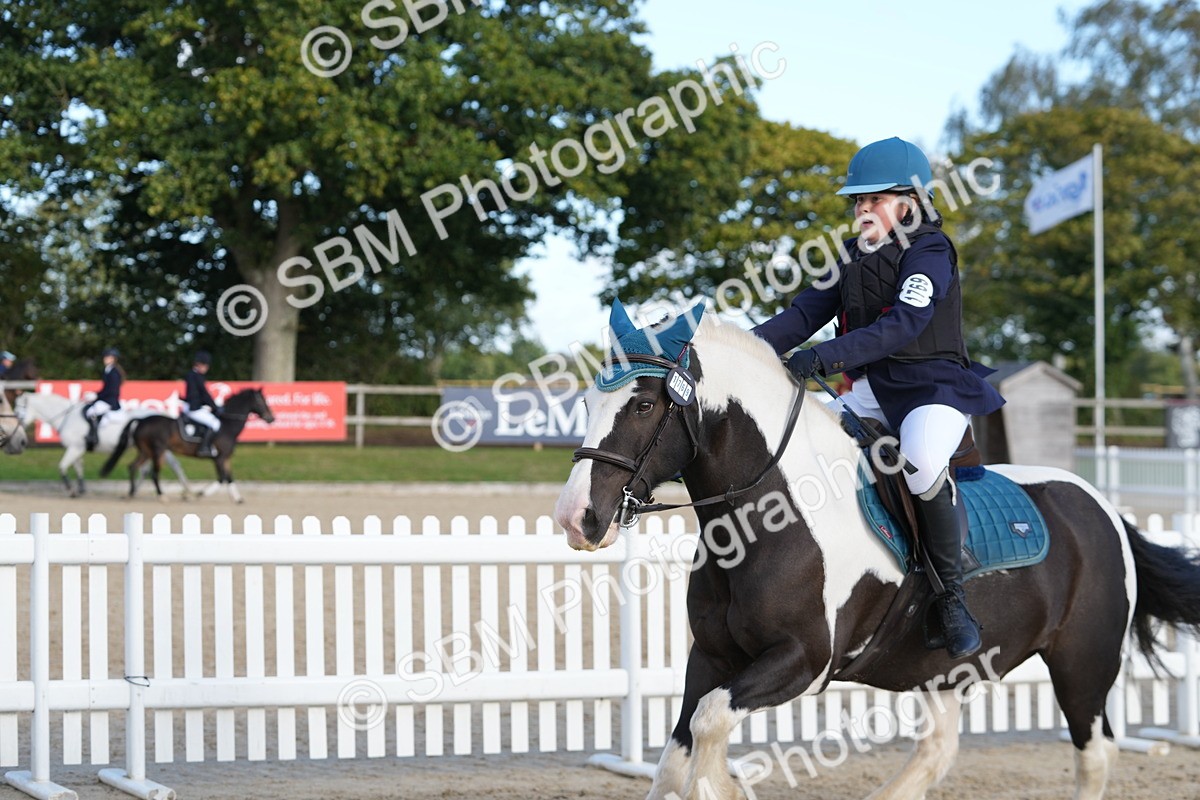 SBM_51057 - J8 - Junior Pony 65cm Championship