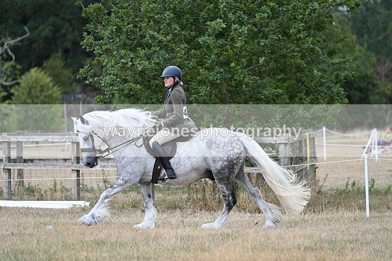 WJ7_5131 - Class 12 Ridden Cob