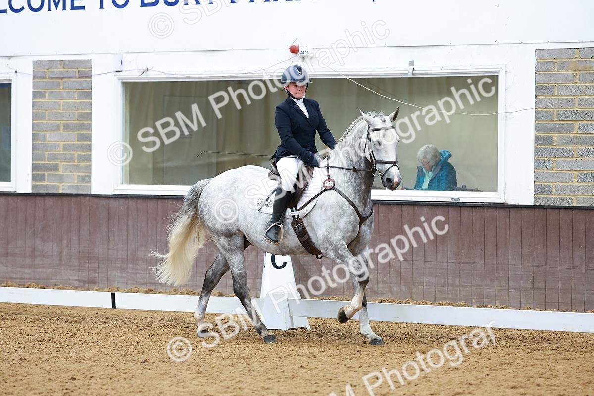 SBM_001034 - Class 12 - Novice 2