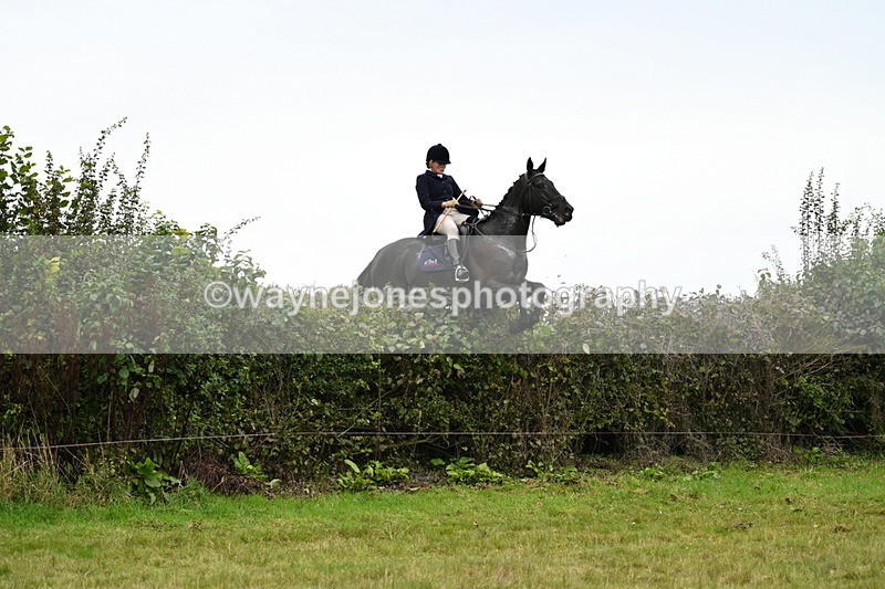 WJ7_4220 - Camera 1 Line 2