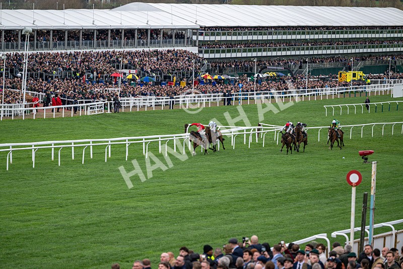 120326-Race 4-Home By The Lee-7251 - 12th March