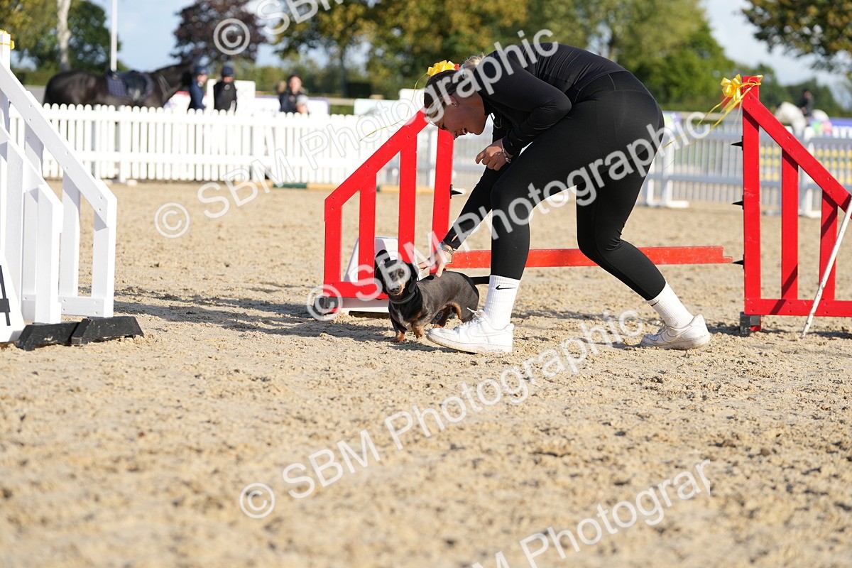 SBM_29033 - J43 - Horse & Hound Open 50cm