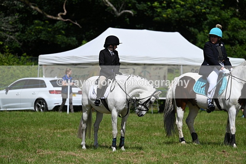 WJ7_1740 - Class 9 Pony Club Pony