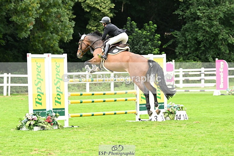 250705A-120711-14583 - Cls 30 Snr Foxhunter 2nd Round