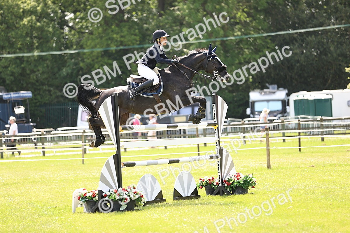 SBM_03972 - Class 201 - British Horse Feedds Speedi Beet HOYS Grade C
