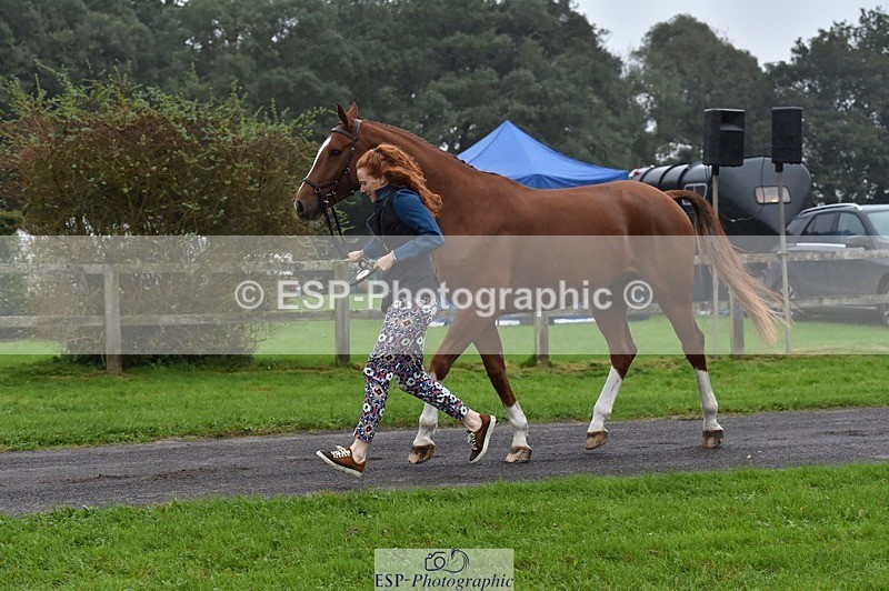 231018-115918-00019 - 066-FJK.OVER.AND.OUT-Alicia.Wilkinson-TrotUp