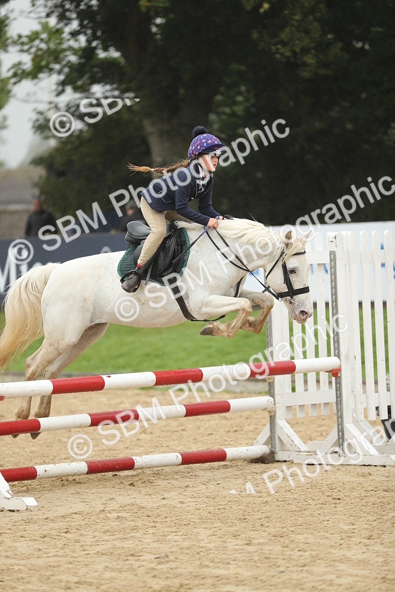 SBM_73803 - J16 - Junior Pony 75cm Championship
