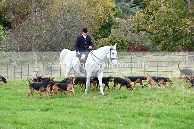 WJ6_0072 - Camera 2 Meet