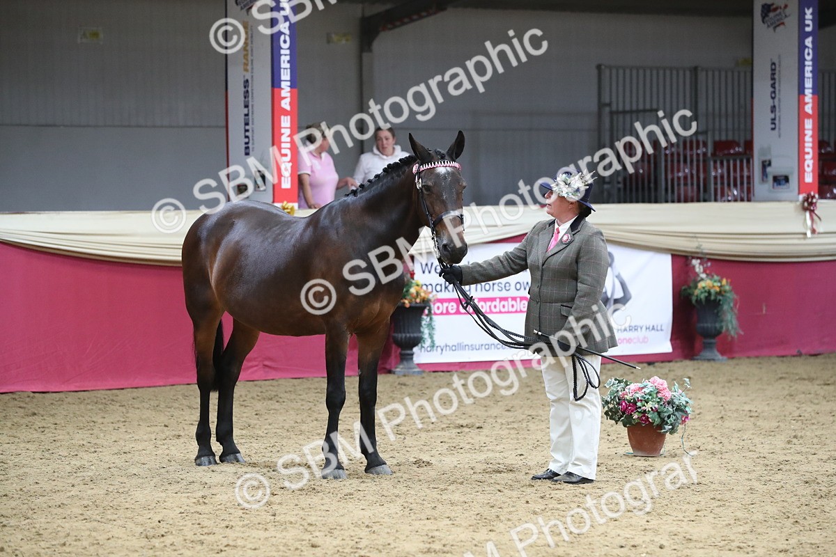 SBM_06403 - Class 9R Regional- IH Pre Vet