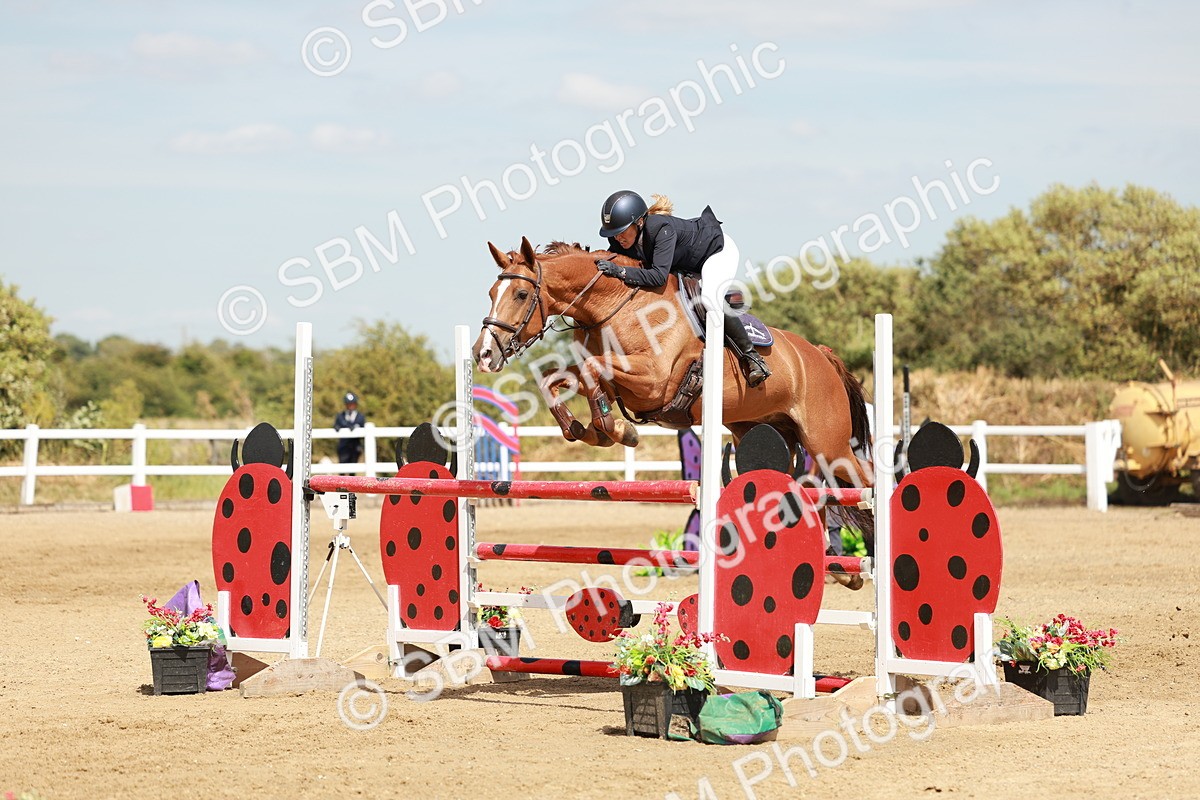 SBM_007950 - Class 4 - Senior Foxhunter - 1.20m Open