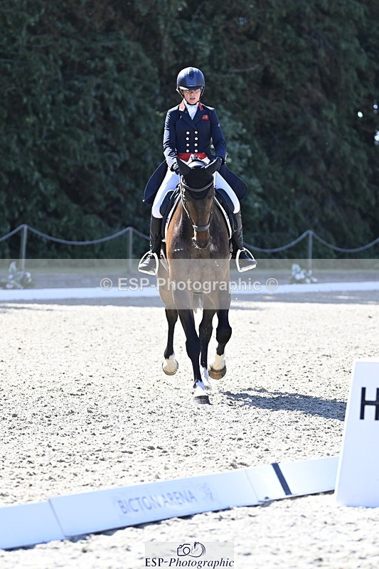 250522A-101203-02634 - B-310-Kitty.King-LISCARROW.FERNHILL