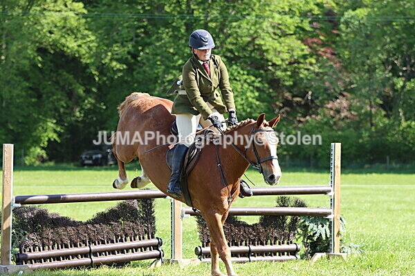 IMG_4898 - Working Hunter