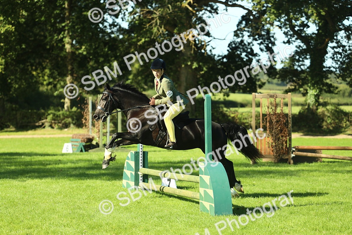 SBM_37402 - S29 - Novice & Newcomers Working Hunter Pony