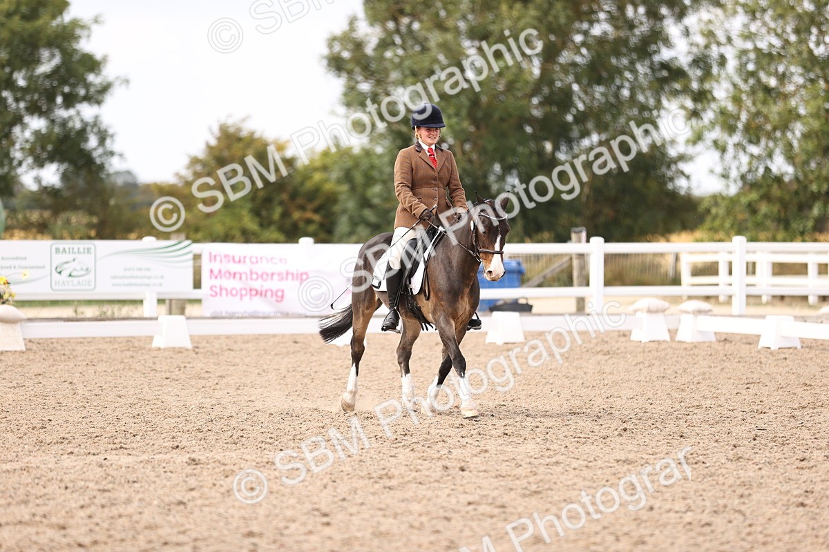 SBM_06044 - Class 37 Novice 5