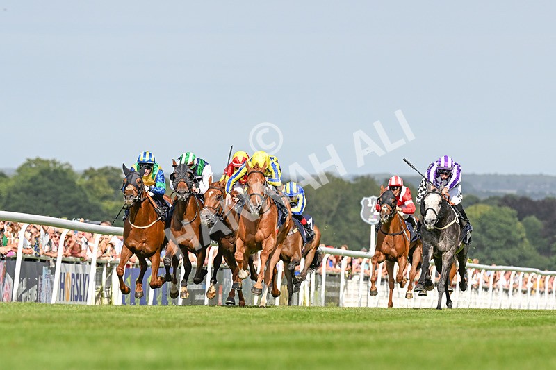 140824-Race 6-Glistening Nights-3847 - Race 6