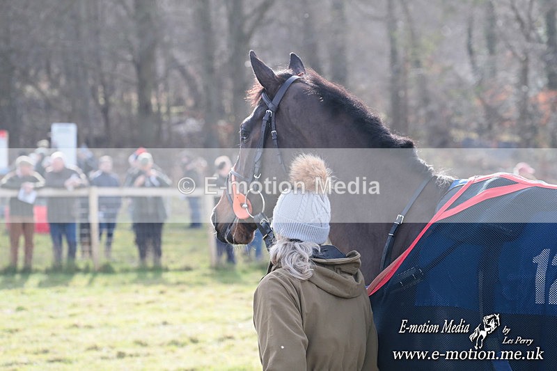 PtP 220225 2 - Kimblewick Point-to-Point  Kingston Blount 22/02/25