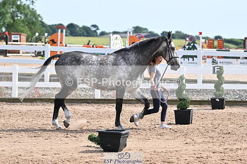 240717A-160846-03325 - Trot Up 4pm to 5pm