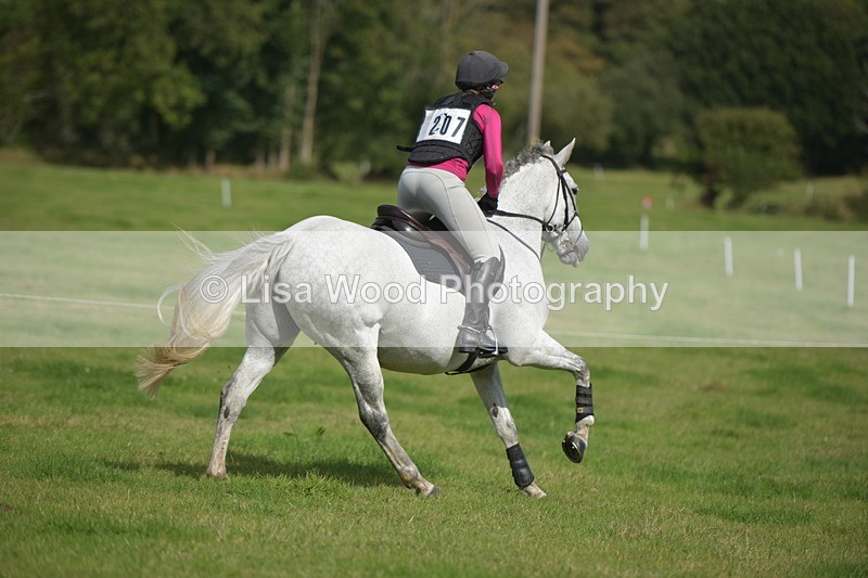 RAY_8780 - Class 2: Trekenning Open: Wall