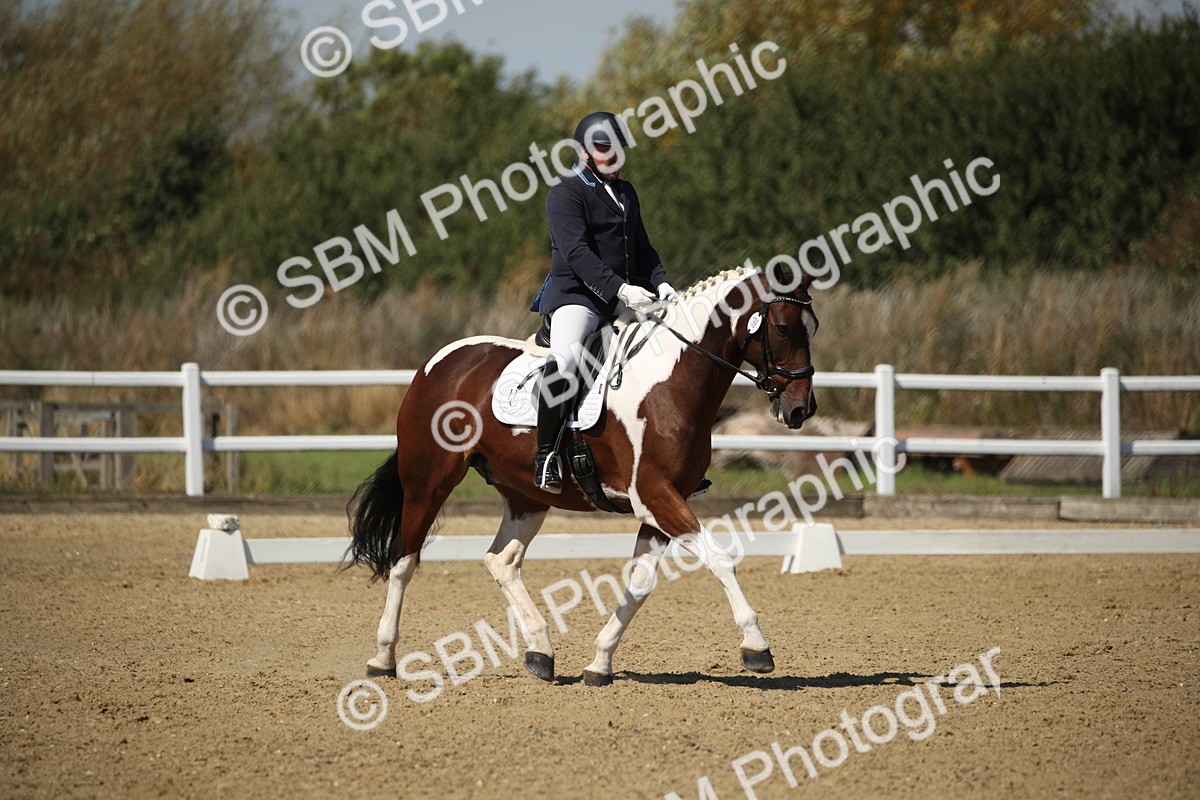 SBM_005098 - Class 11 - Novice 5 - 11.41-12.58