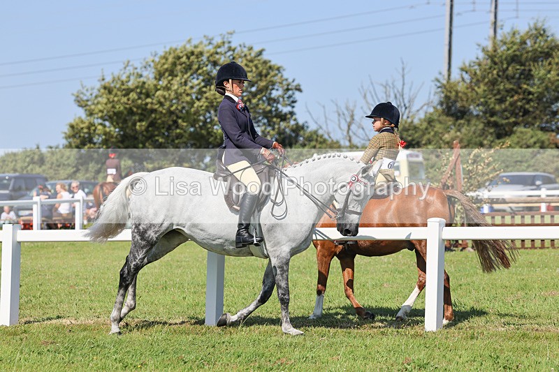 IMG_1899 - Class 33: Show Pony 148cm and under