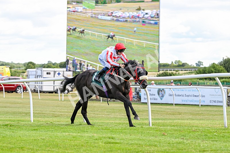 090725-Race 5-Cosmic Soul-3465 - Race 5