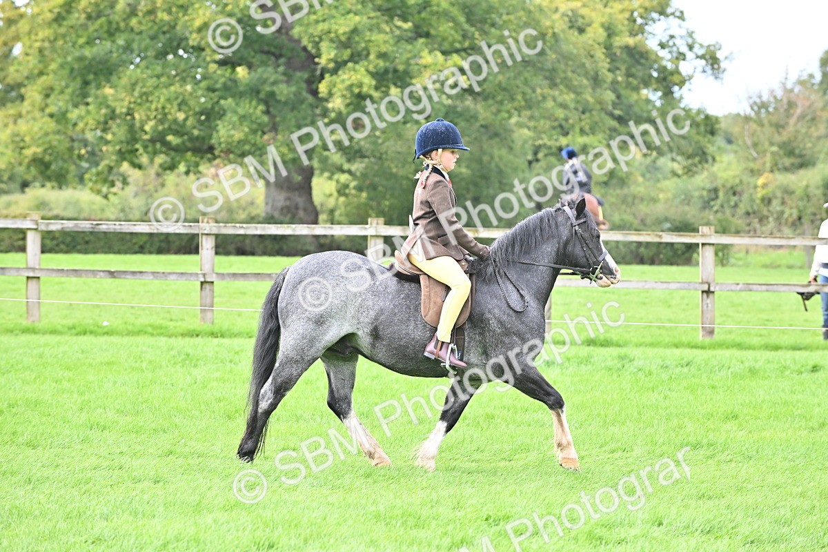 SBM_44468 - S13 - Pony Club Pony