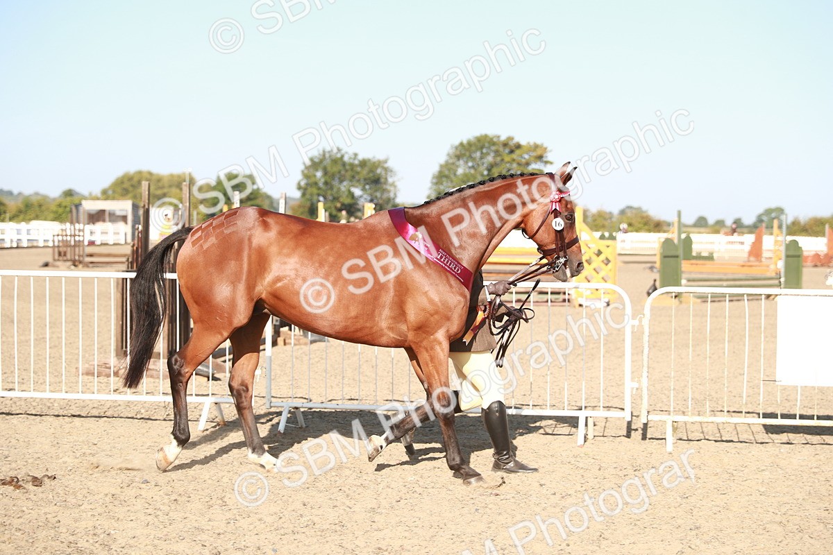 SBM_00169 - Class 40 Best Turned Out IH