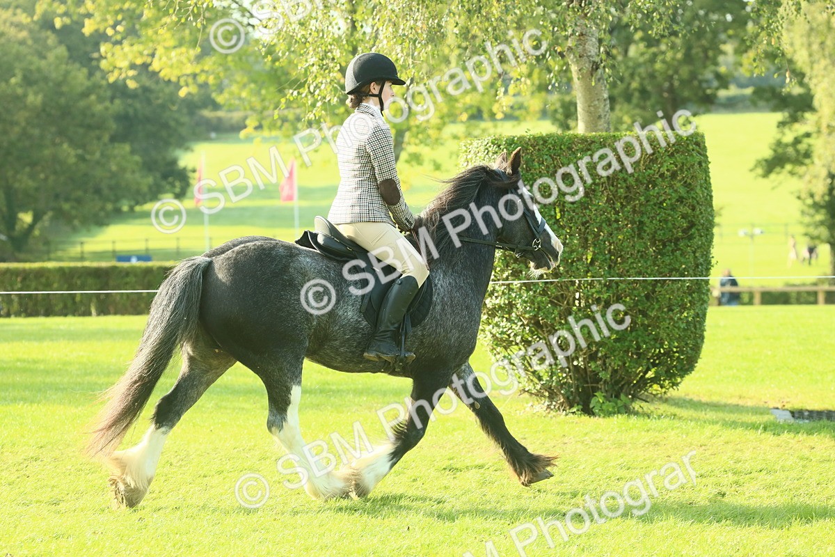 SBM_59289 - S38 - Starters Ridden Showing