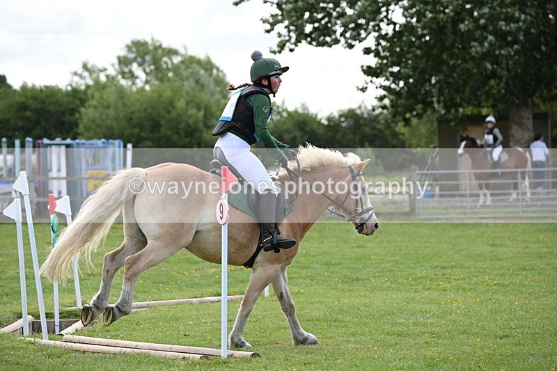 WJ6_2284 - Class 2 40cm