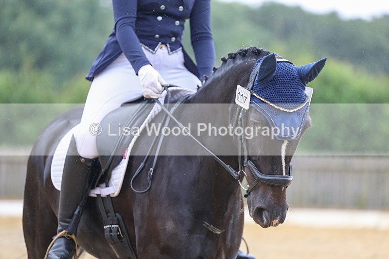 3E7A9859 - Class 6: Novice 3 2024 Section B