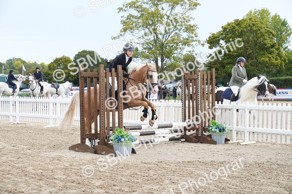 SBM_01413 - J54 - Clear Round 50cm