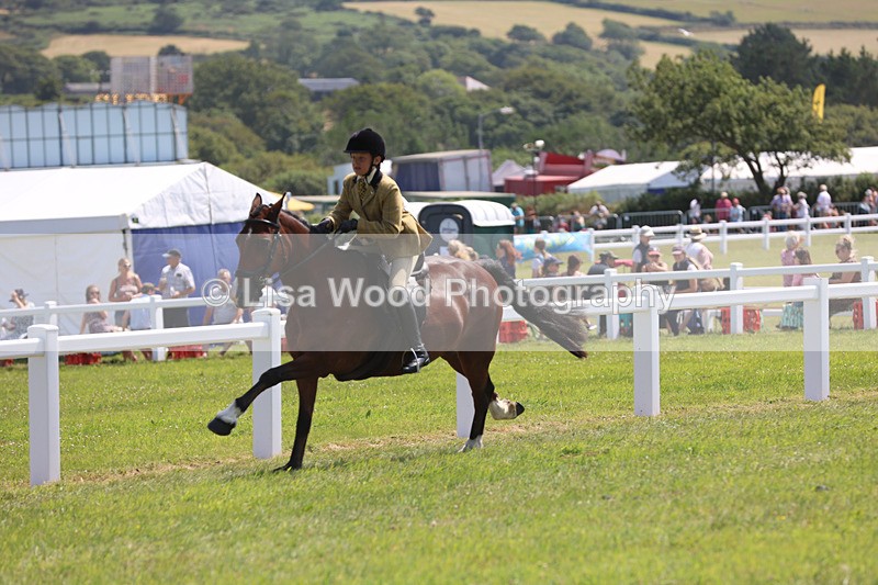 JPP_3291 - Class 22: Working Hunter 70cm