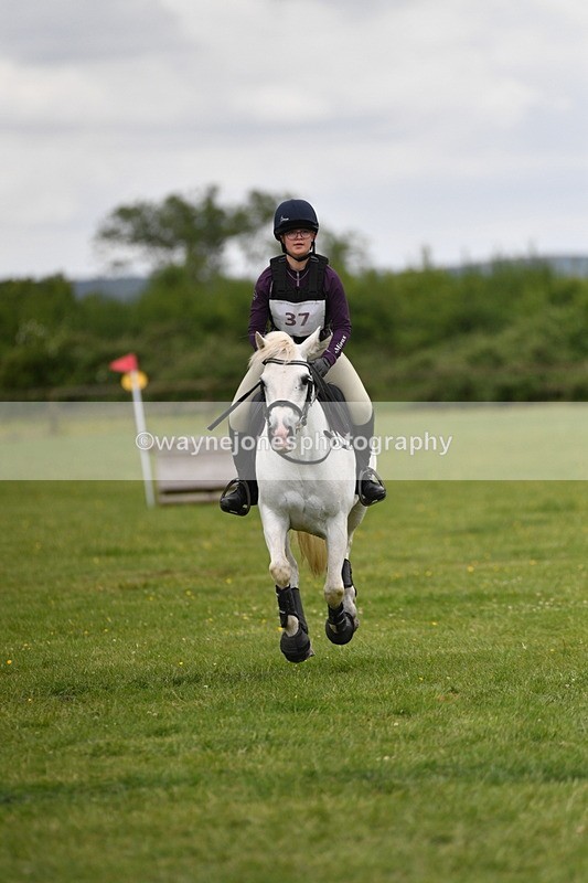 WJ5_3583 - Class 6 80cm