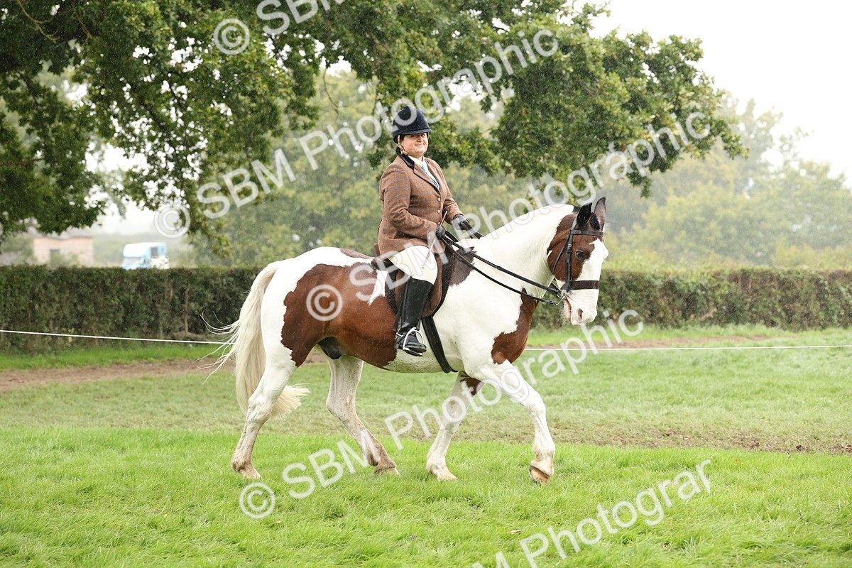 SBM_69795 - S69 - Show Cob Ridden