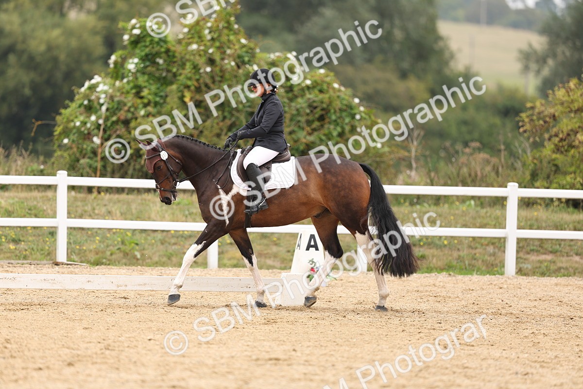 SBM_01688 - Class 9 - Novice 27 Champs