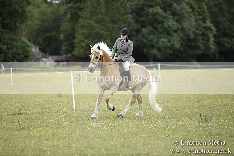 BVR160717-1546 - Ring 1 BVRC Show 16/07/17