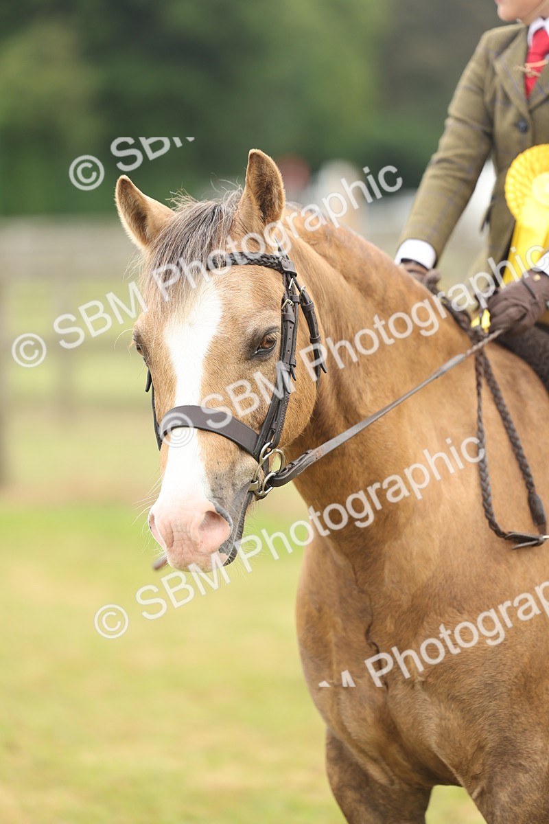 SBM_06913 - Class 74-75 - M&M Lead Rein and First Ridden Pony