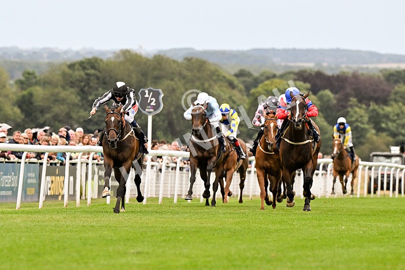 150824-Race 5-Pons Aelius-4269 - Race 5