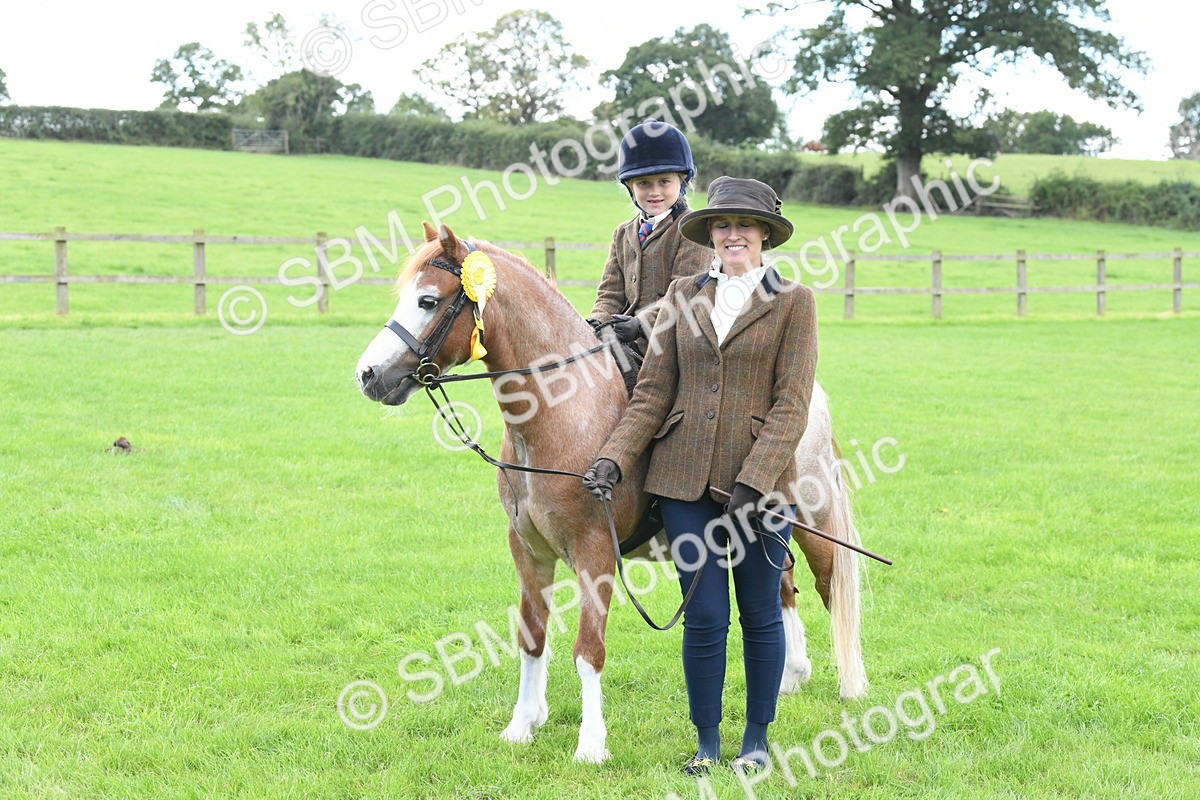 SBM_42691 - S20 - Lead Rein Mountain & Moorland Pony