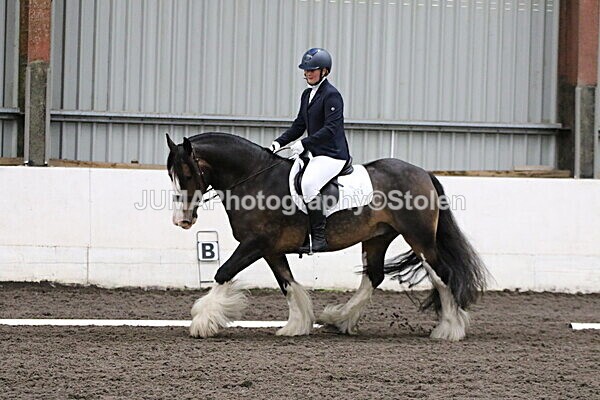 SIAL4167 - CAbin Dressage 5th july 2025