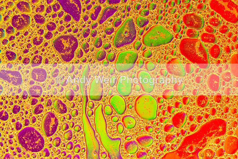 20140204-3K8A8721 - Oil & Water