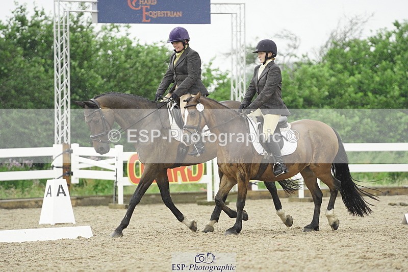 230708A-124252-00485 - BRC Pairs 5