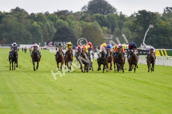 230923-Race 4-Aphelios-5681 - Race 4 3.45pm Jigsaw Sports Branding Handicap