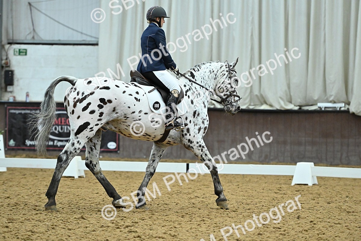 SBM_007507 - Class 81 - Novice 3