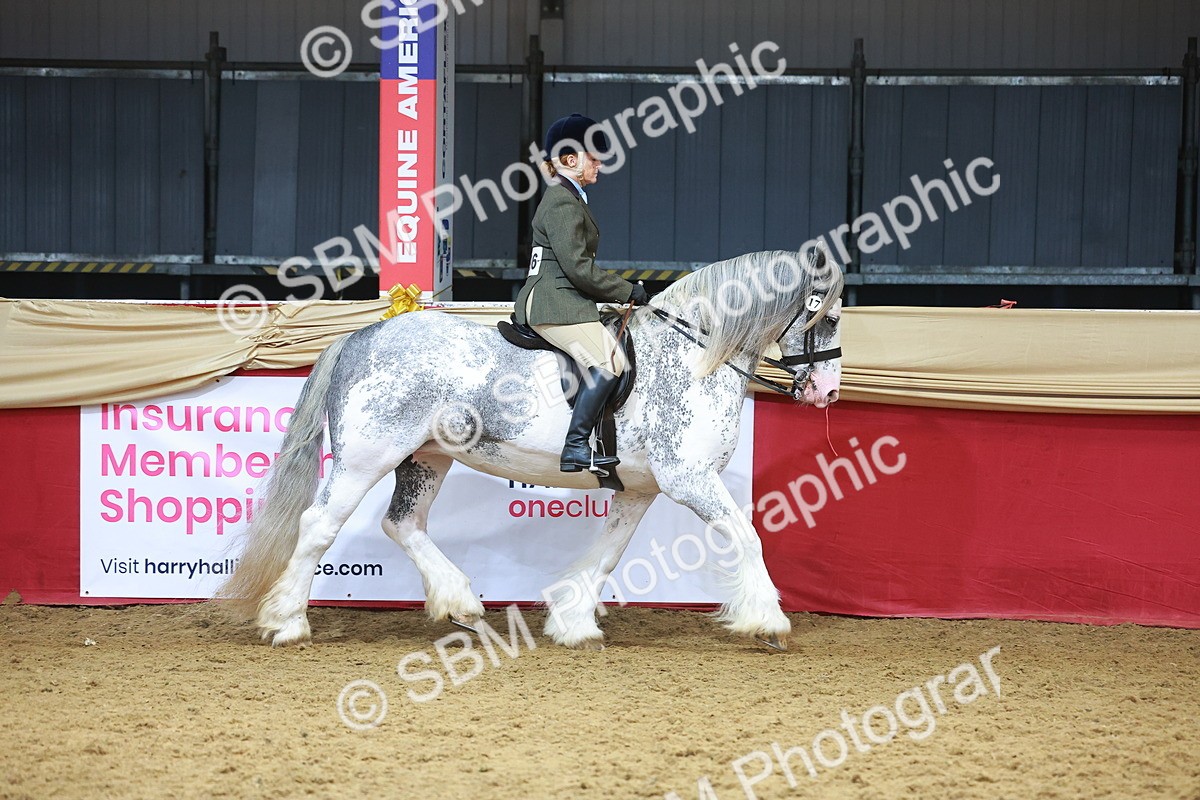 SBM_12413 - Class 103 - HOYS Veteran Qualifier - Ridden Pre Vet